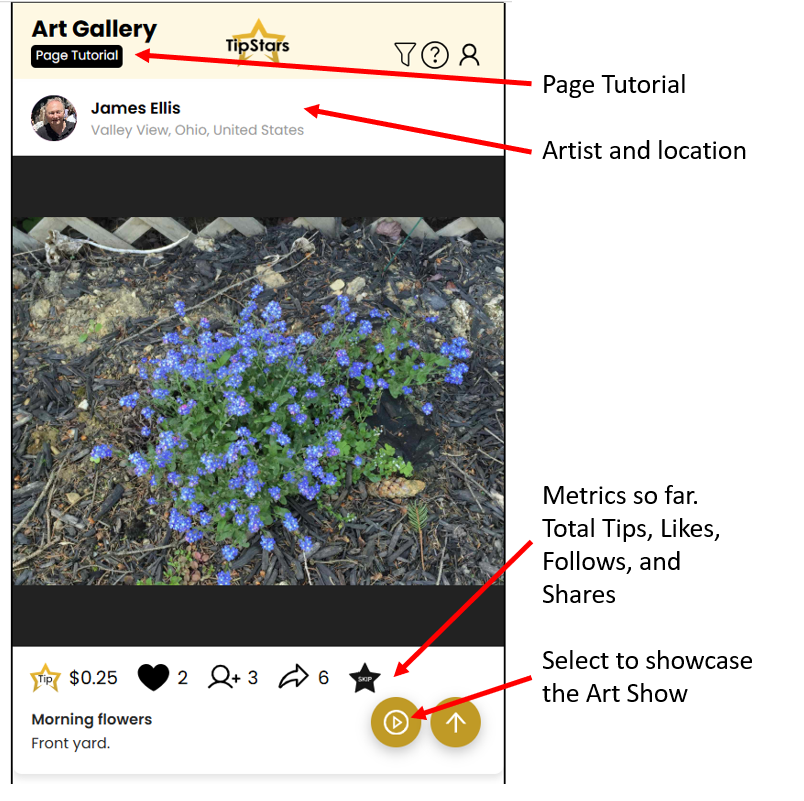 TipStars is Growing Quickly